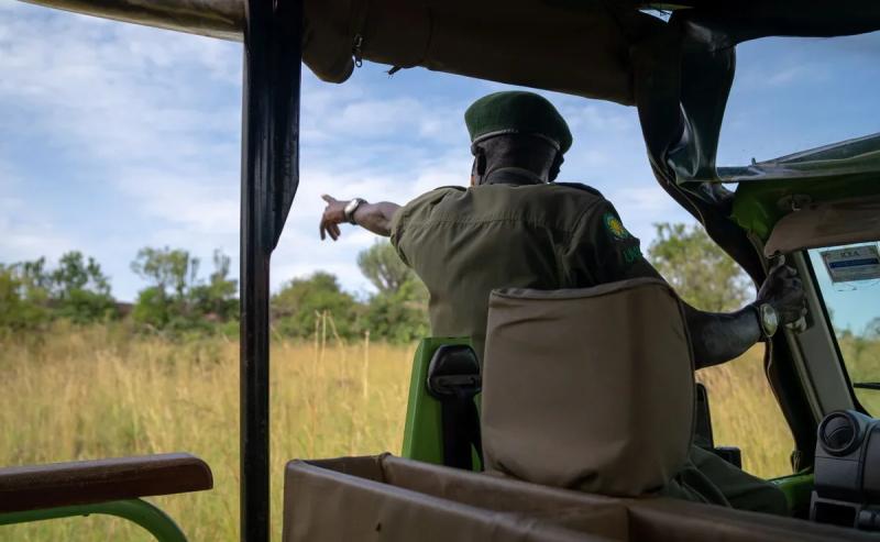 Эксклюзивный вебинар от Ratel Safaris для российских туроператоров