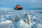 Экспедиционный круиз на Северный полюс следующим летом